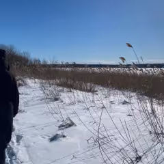 Programmi „Kõnnime koos“ raames kõndimisgruppides osalenud tervisedenduse üliõpilased jagavad tagasisidet oma võitudest