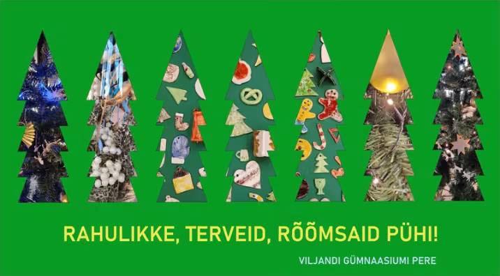 Viljandi Gümnaasium